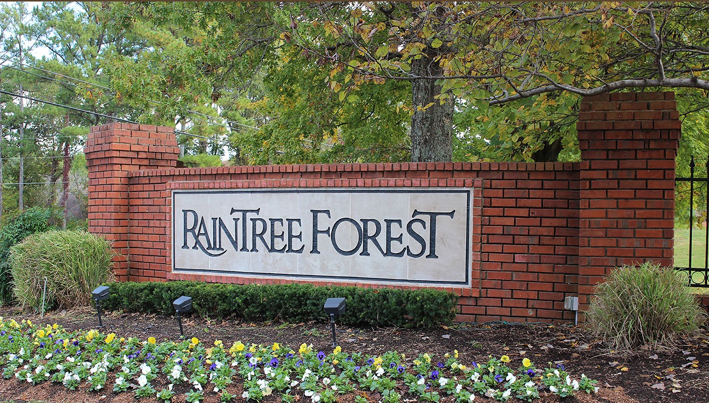 Homes for Sale in Raintree Forest Nashville TN