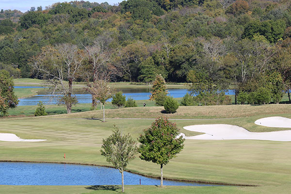 The Grove Golf