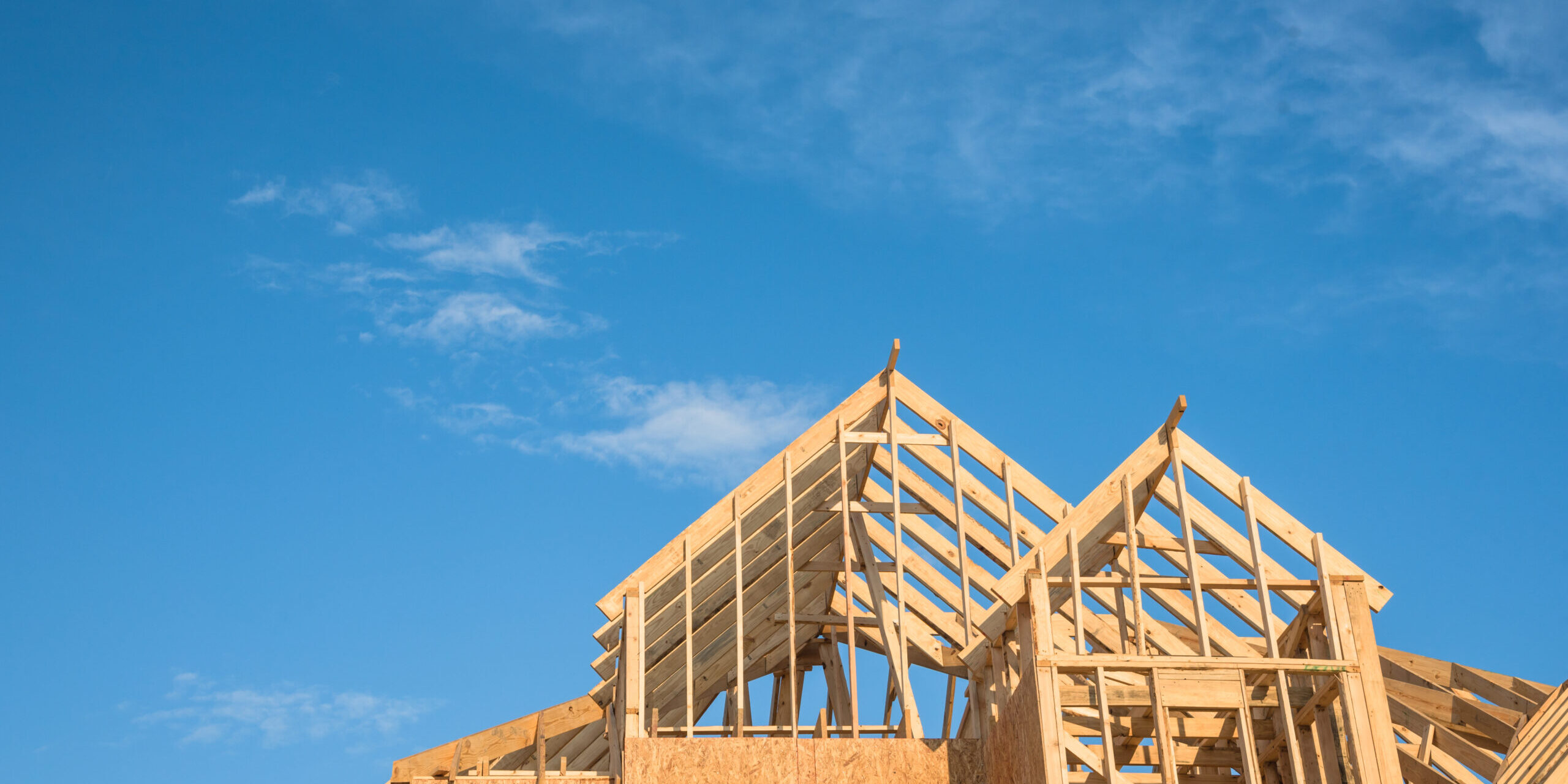 new construction expert