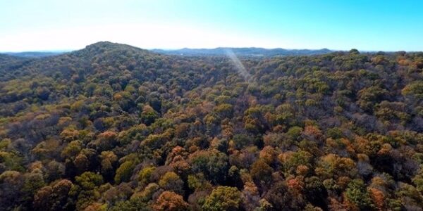26358788-lr 0 waterfall road land for sale brentwood tennessee