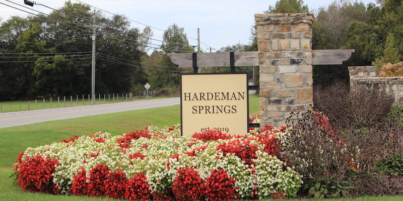 SG-february1-feature Hardeman Springs