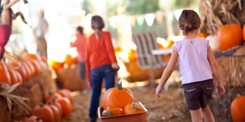 Fall Events in Middle Tennessee