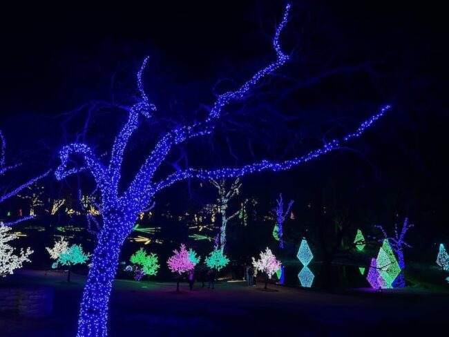 susan-gregory-november1-feature-holiday-guide-christmas-lights Susan Gregory’s Local Guide to Holiday Fun in Nashville