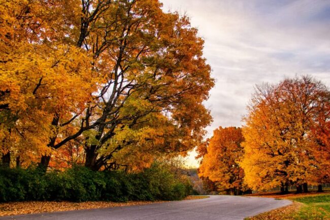 Fall Road Your Local Guide to Fall Favorites in Middle Tennessee